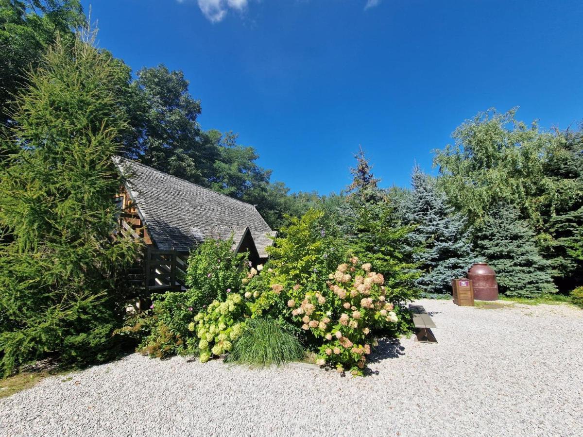 Oberza Pod Zlotym Prosiakiem Otel Nieborów Dış mekan fotoğraf